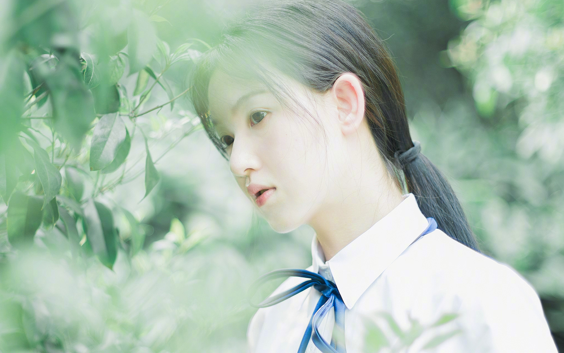 开云体育中国-球场预言，凯尔特人的世界杯式胜利，奇才成背景板