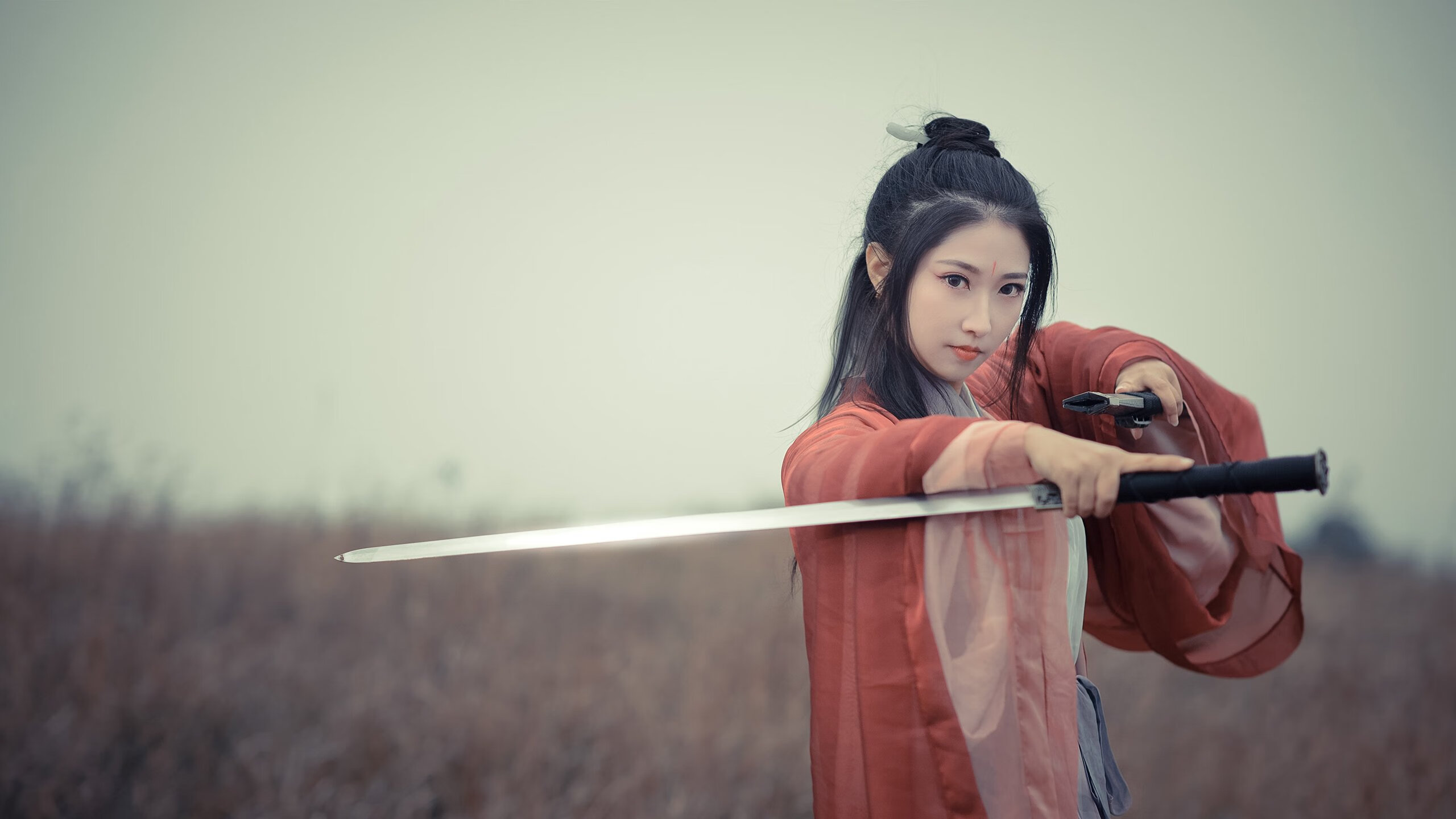 时空裂隙间的哨响，当波兰铁骑逆转黄潜艇，黄喜灿在历史折点刻下韩文碑铭